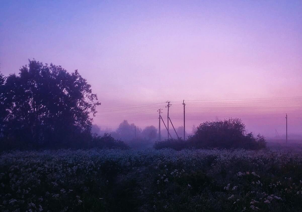 尼克-杨：在中国期间依然执行减肥计划